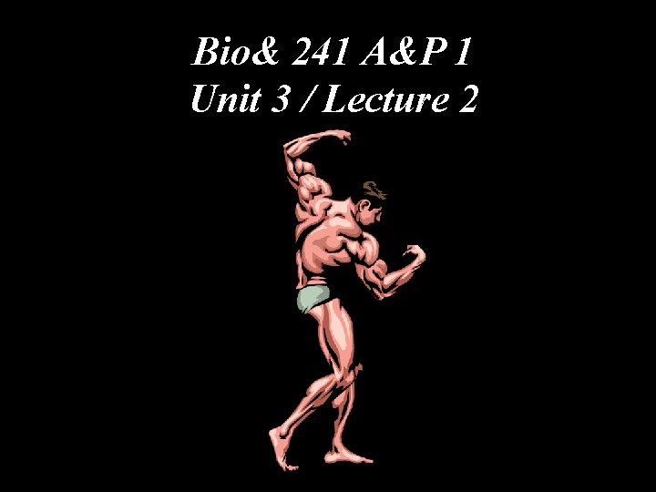 Bio& 241 A&P 1 Unit 3 / Lecture 2 