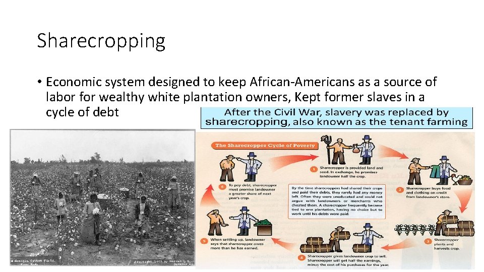 Sharecropping • Economic system designed to keep African-Americans as a source of labor for