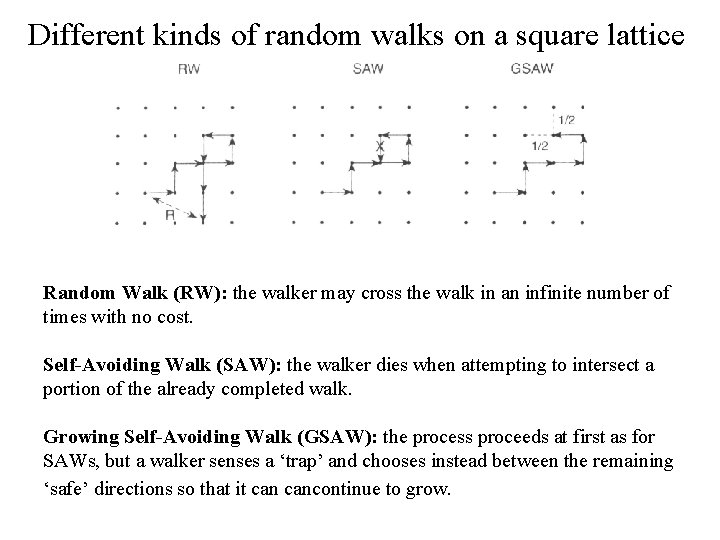 Different kinds of random walks on a square lattice Random Walk (RW): the walker Different kinds of random walks on a square lattice Random Walk (RW): the walker