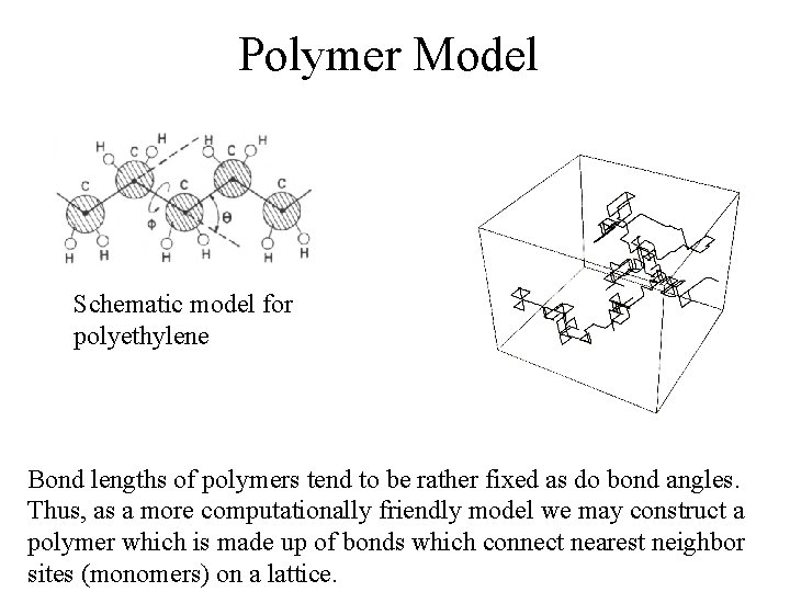 Polymer Model Schematic model for polyethylene Bond lengths of polymers tend to be rather Polymer Model Schematic model for polyethylene Bond lengths of polymers tend to be rather