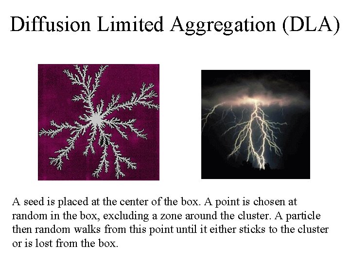 Diffusion Limited Aggregation (DLA) A seed is placed at the center of the box. Diffusion Limited Aggregation (DLA) A seed is placed at the center of the box.