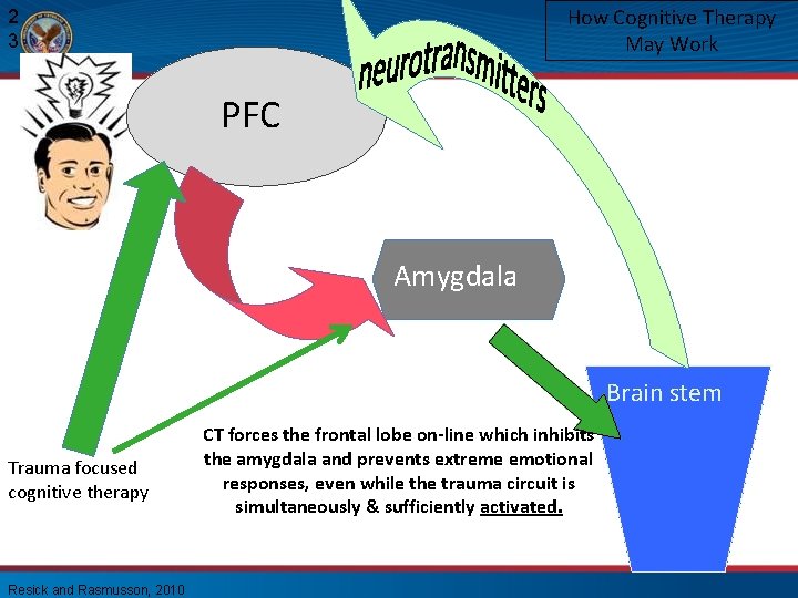 How Cognitive Therapy May Work 2 3 PFC BL Amygdala CE Brain stem Trauma