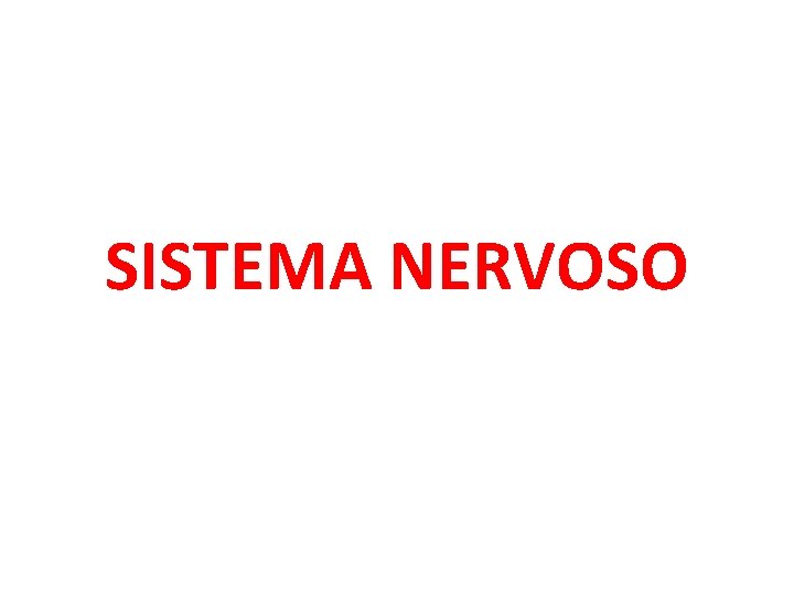 SISTEMA NERVOSO 