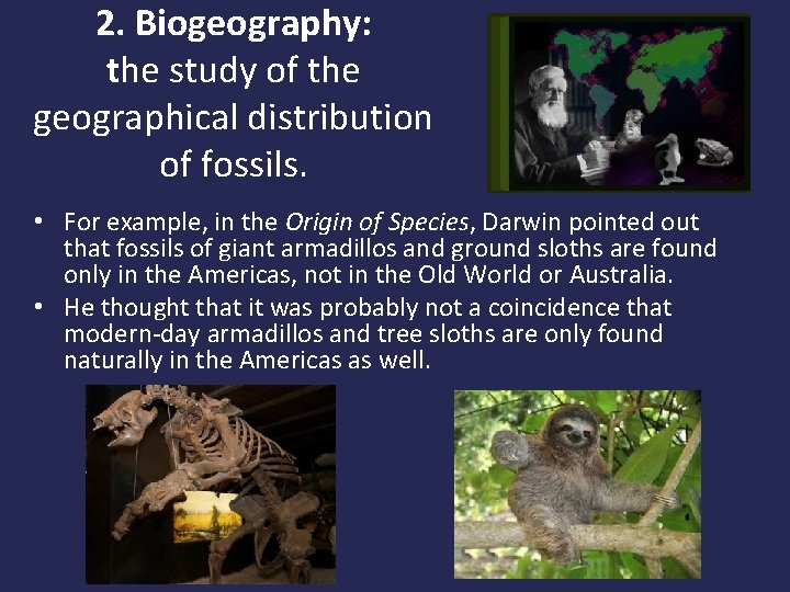 2. Biogeography: the study of the geographical distribution of fossils. • For example, in