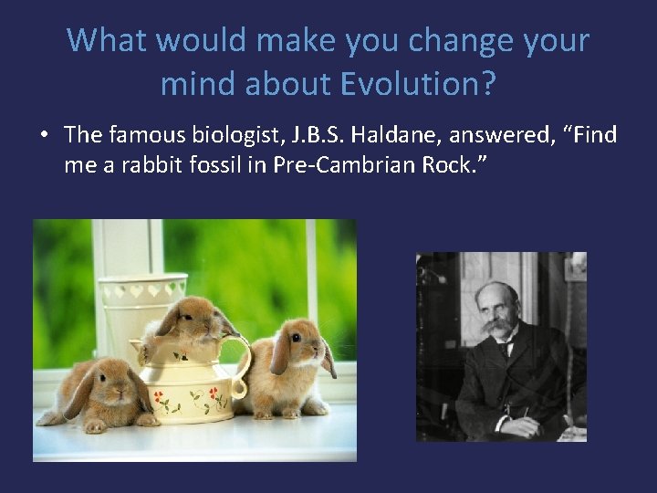 What would make you change your mind about Evolution? • The famous biologist, J.