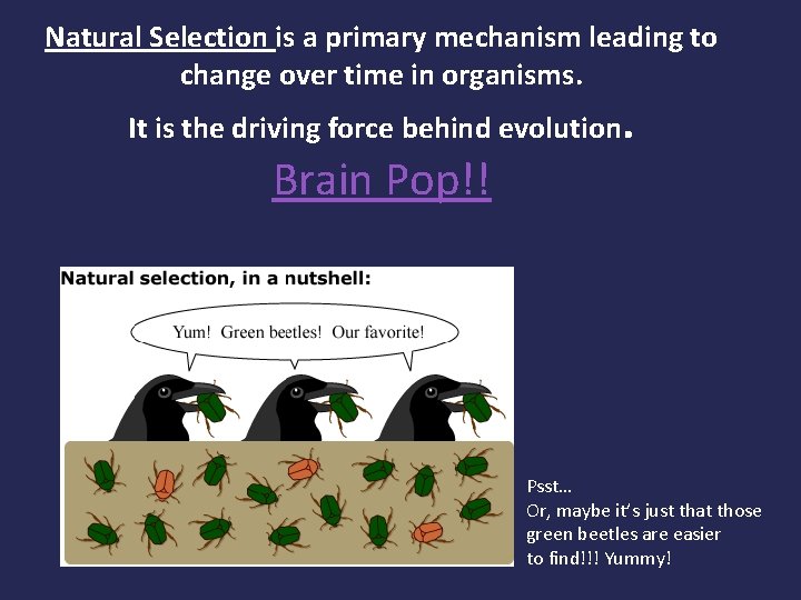 Natural Selection is a primary mechanism leading to change over time in organisms. It