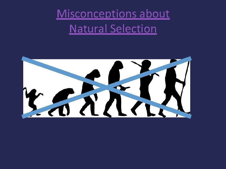 Misconceptions about Natural Selection 
