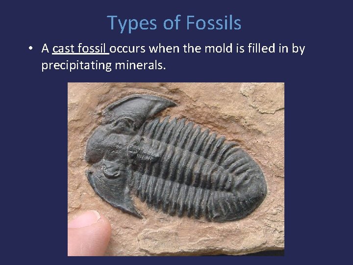 Types of Fossils • A cast fossil occurs when the mold is filled in