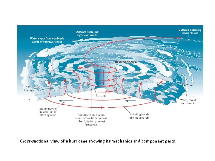 Fig 14. 3 Cross-sectional view of a hurricane showing its mechanics and component parts.