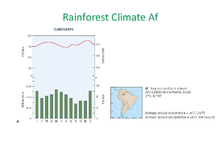 Rainforest Climate Af 