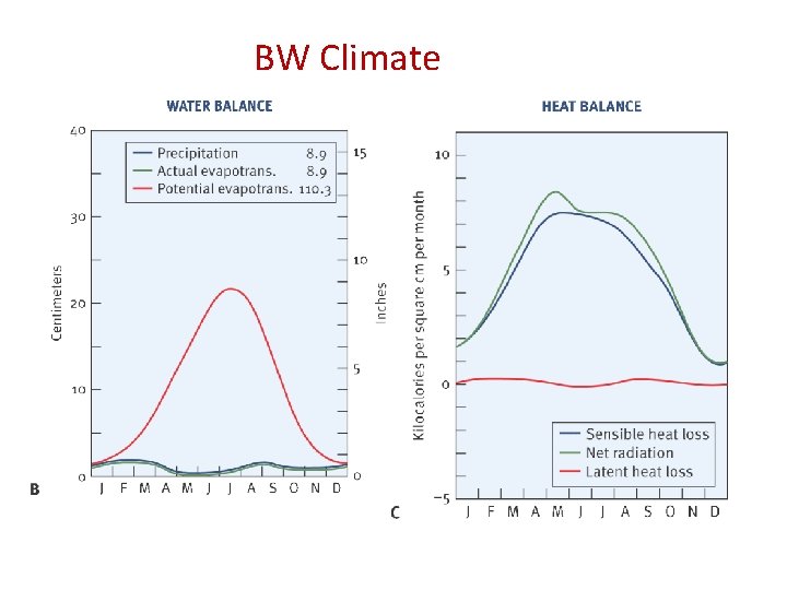BW Climate 