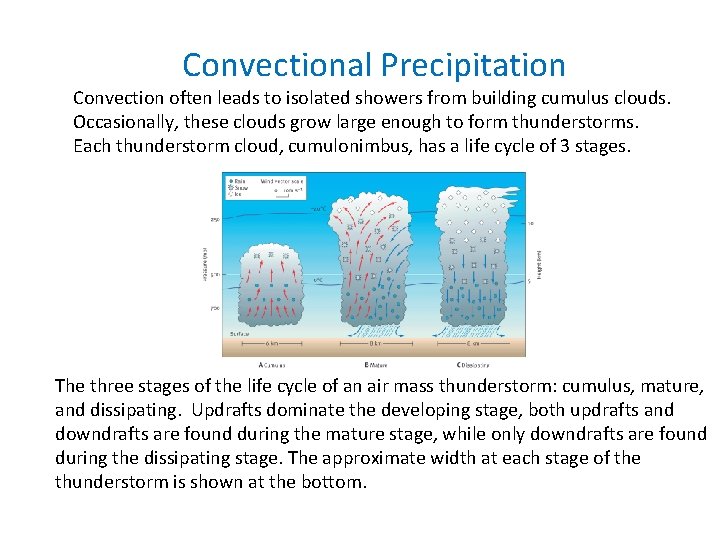 Convectional Precipitation Convection often leads to isolated showers from building cumulus clouds. Occasionally, these