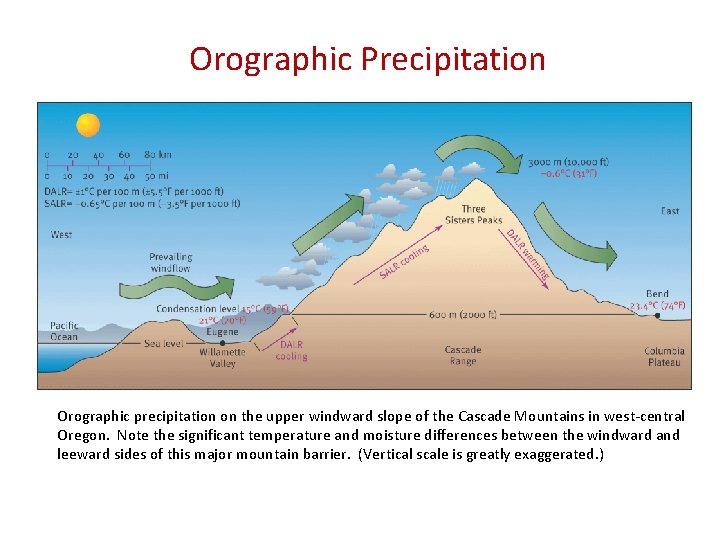 Orographic Precipitation Fig 13. 7 Orographic precipitation on the upper windward slope of the