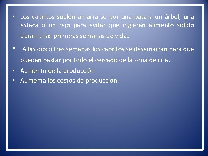  • Los cabritos suelen amarrarse por una pata a un árbol, una estaca