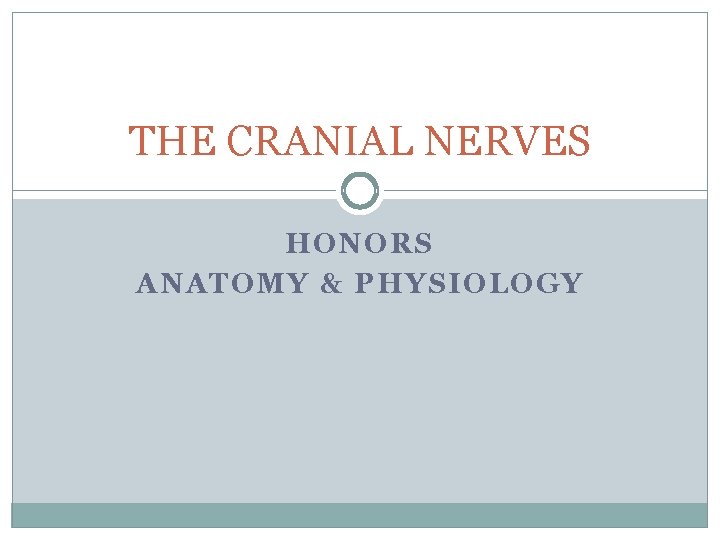 THE CRANIAL NERVES HONORS ANATOMY & PHYSIOLOGY 