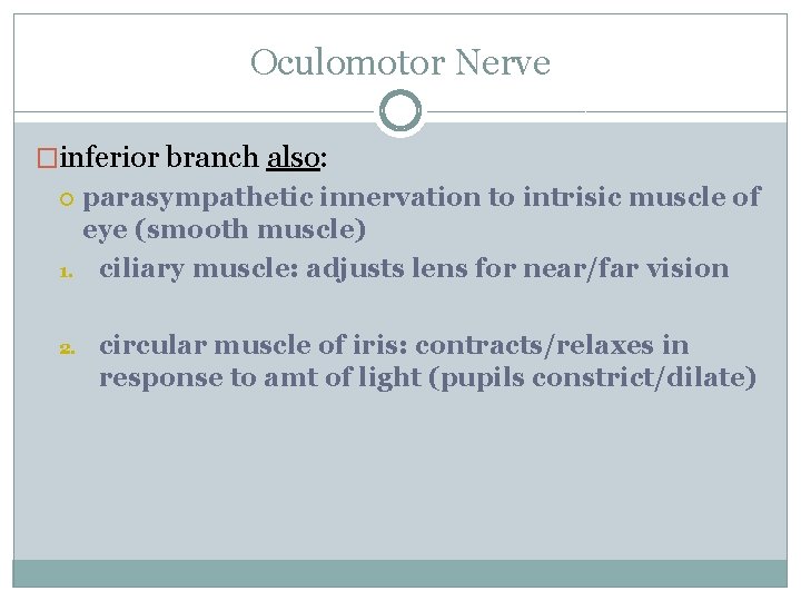 Oculomotor Nerve �inferior branch also: 1. 2. parasympathetic innervation to intrisic muscle of eye