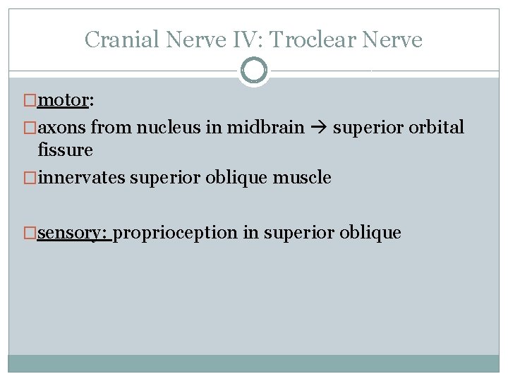 Cranial Nerve IV: Troclear Nerve �motor: �axons from nucleus in midbrain superior orbital fissure