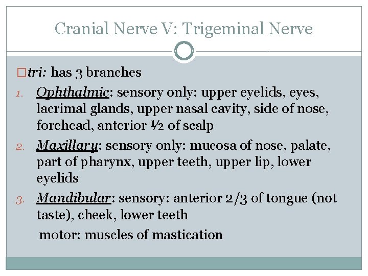Cranial Nerve V: Trigeminal Nerve �tri: has 3 branches Ophthalmic: sensory only: upper eyelids,