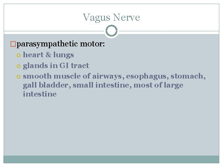 Vagus Nerve �parasympathetic motor: heart & lungs glands in GI tract smooth muscle of