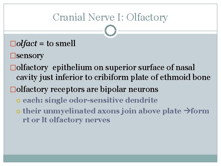 Cranial Nerve I: Olfactory �olfact = to smell �sensory �olfactory epithelium on superior surface