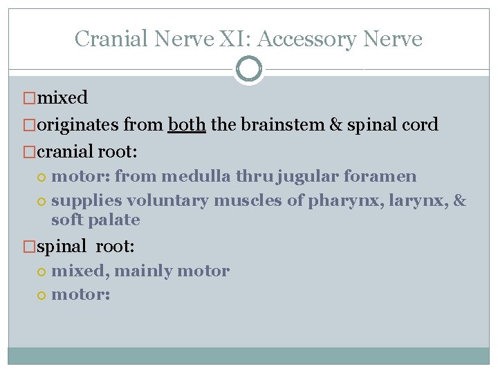 Cranial Nerve XI: Accessory Nerve �mixed �originates from both the brainstem & spinal cord