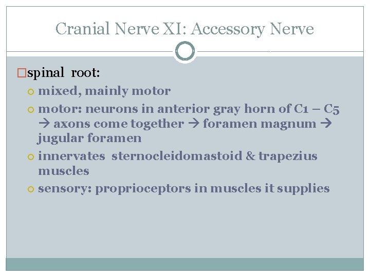 Cranial Nerve XI: Accessory Nerve �spinal root: mixed, mainly motor: neurons in anterior gray