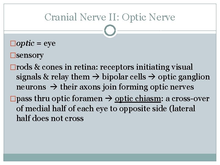 Cranial Nerve II: Optic Nerve �optic = eye �sensory �rods & cones in retina: