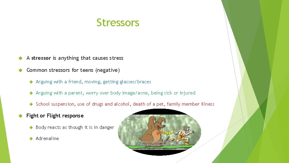 Stressors A stressor is anything that causes stress Common stressors for teens (negative) Arguing