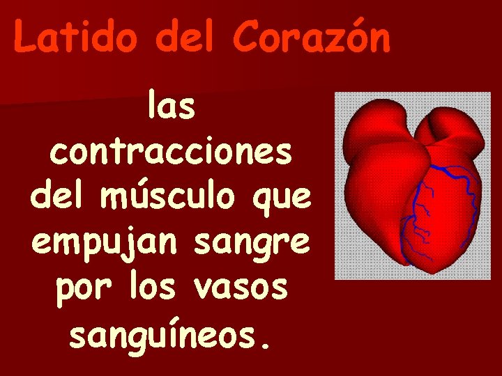 Latido del Corazón las contracciones del músculo que empujan sangre por los vasos sanguíneos.