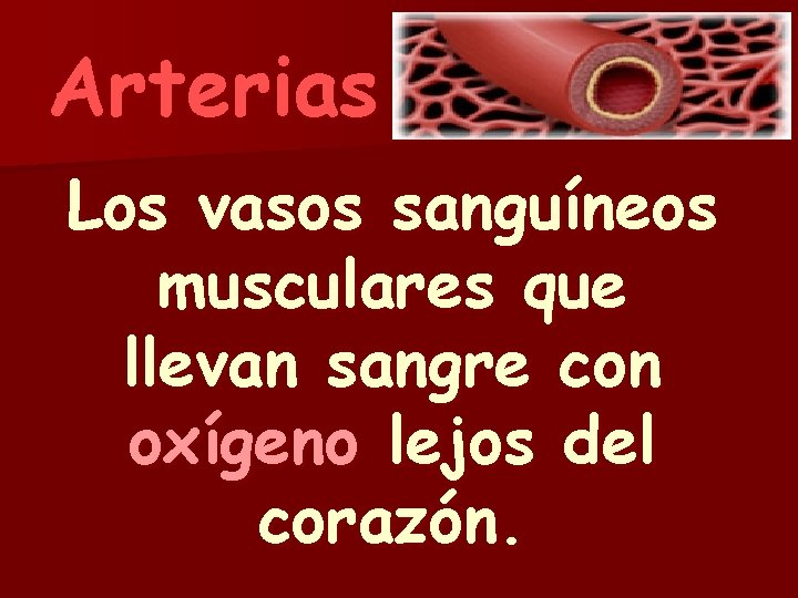 Arterias Los vasos sanguíneos musculares que llevan sangre con oxígeno lejos del corazón. 