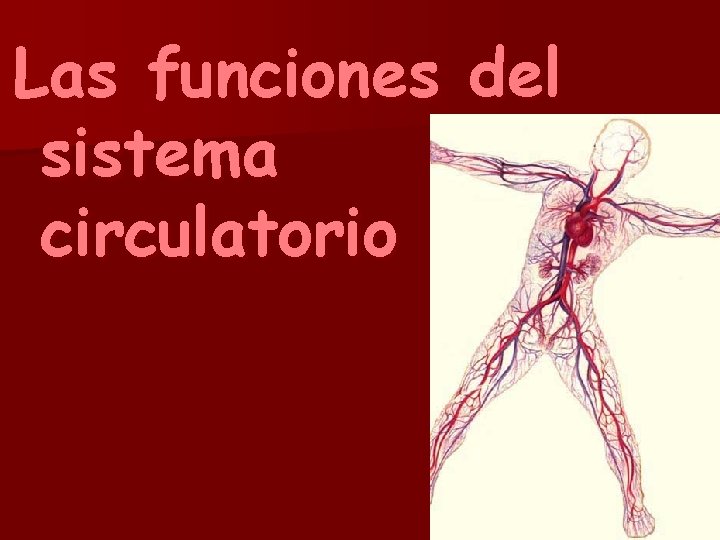 Las funciones del sistema circulatorio … 