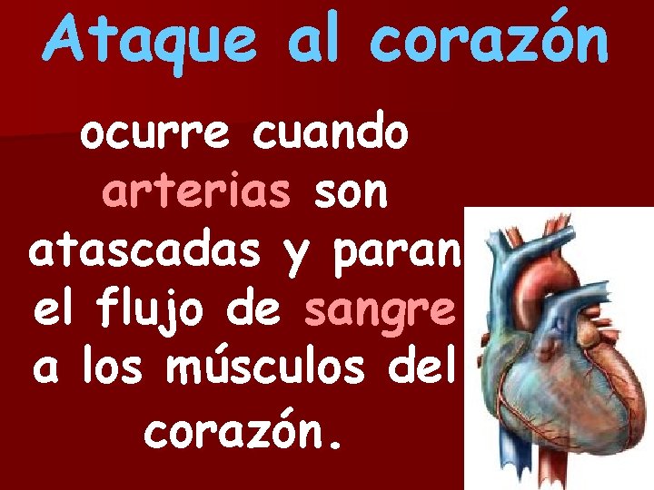 Ataque al corazón ocurre cuando arterias son atascadas y paran el flujo de sangre