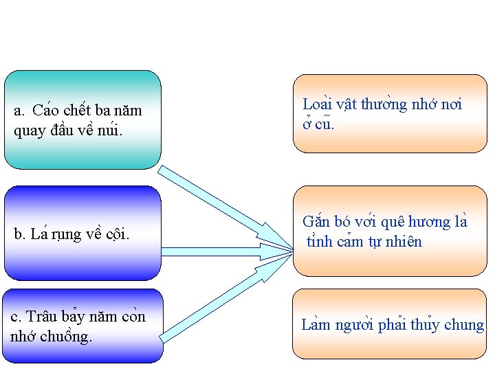 a. Ca o chê t ba năm quay đâ u vê nu i. Loa