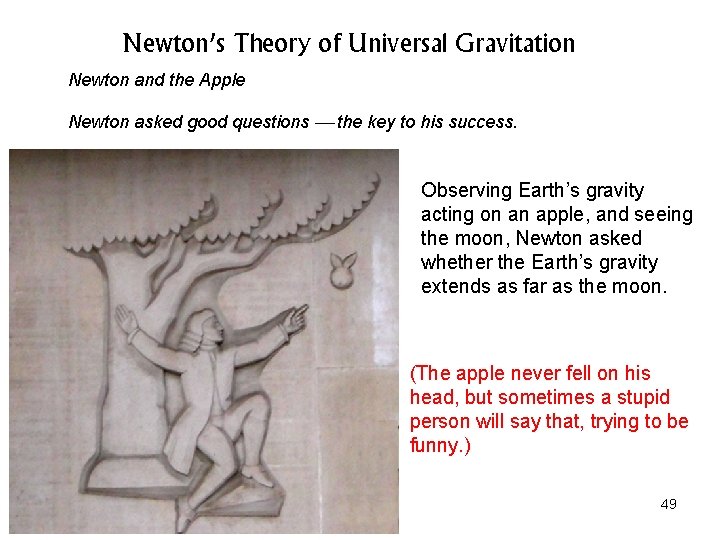 Newton’s Theory of Universal Gravitation Newton and the Apple Newton asked good questions the Newton’s Theory of Universal Gravitation Newton and the Apple Newton asked good questions the