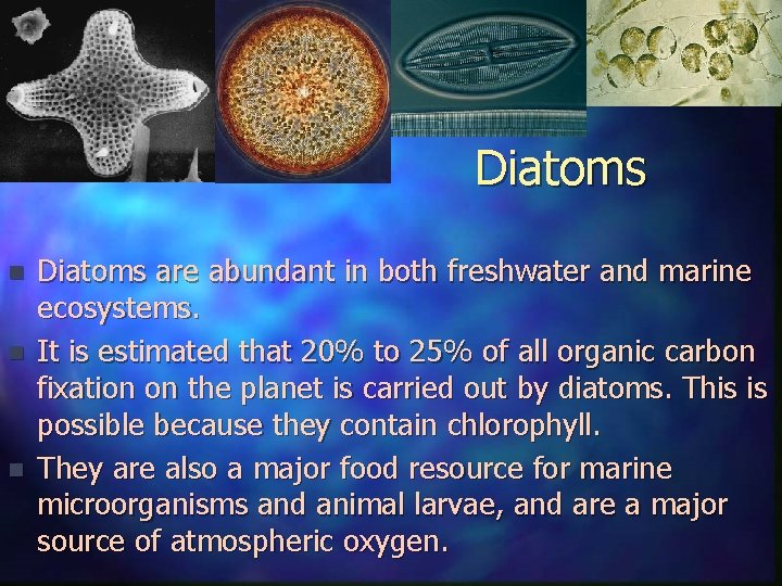 Diatoms n n n Diatoms are abundant in both freshwater and marine ecosystems. It