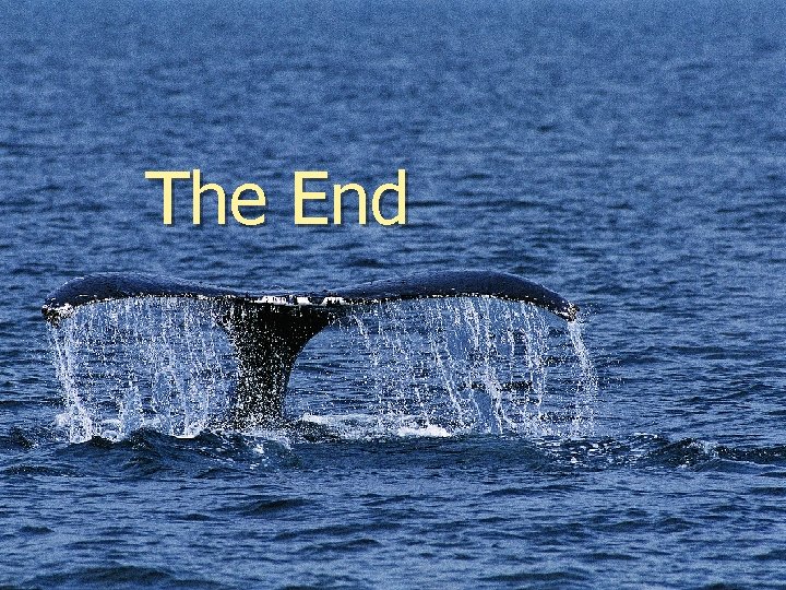 The End 