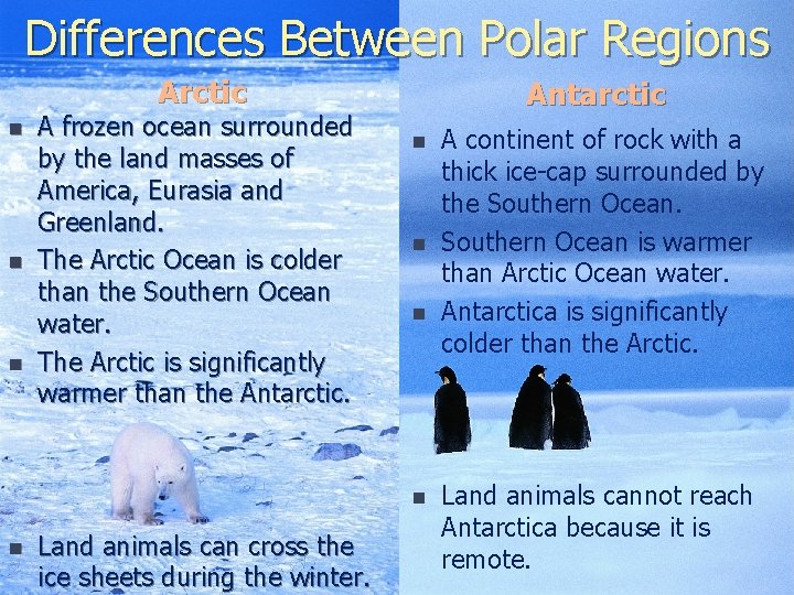 Differences Between Polar Regions Arctic n n n A frozen ocean surrounded by the