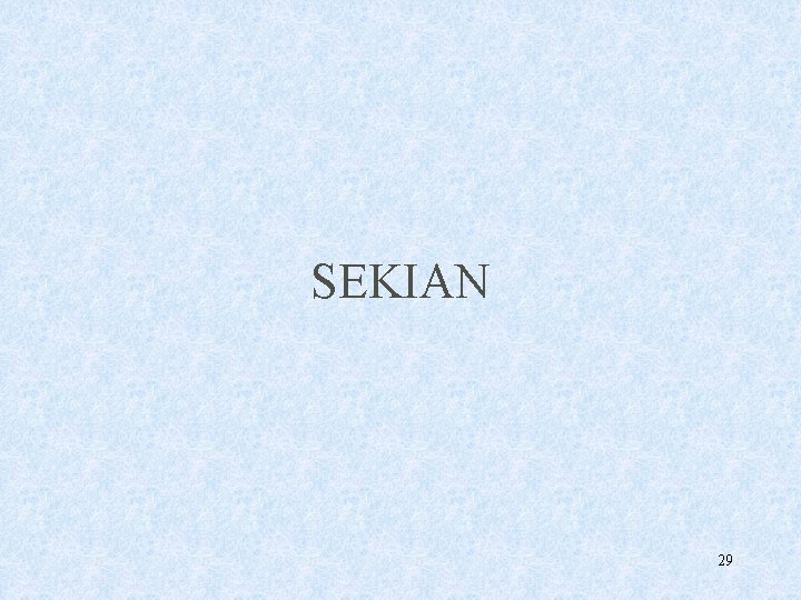 SEKIAN 29 