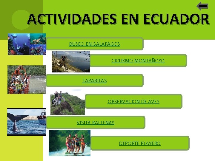 ACTIVIDADES EN ECUADOR BUSEO EN GALAPAGOS CICLISMO MONTAÑOSO TABARITAS OBSERVACION DE AVES VISITA BALLENAS