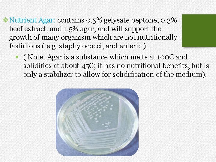 v. Nutrient Agar: contains 0. 5% gelysate peptone, 0. 3% beef extract, and 1.