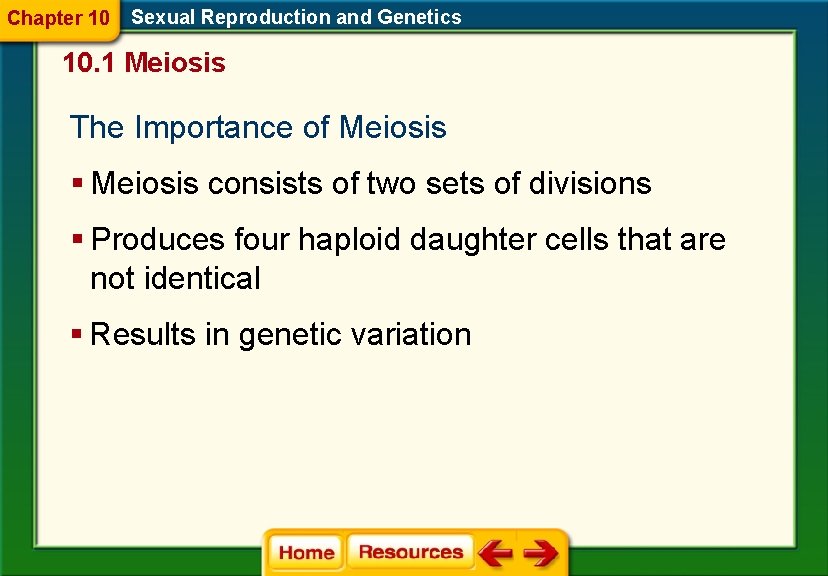Chapter 10 Sexual Reproduction and Genetics 10. 1 Meiosis The Importance of Meiosis §