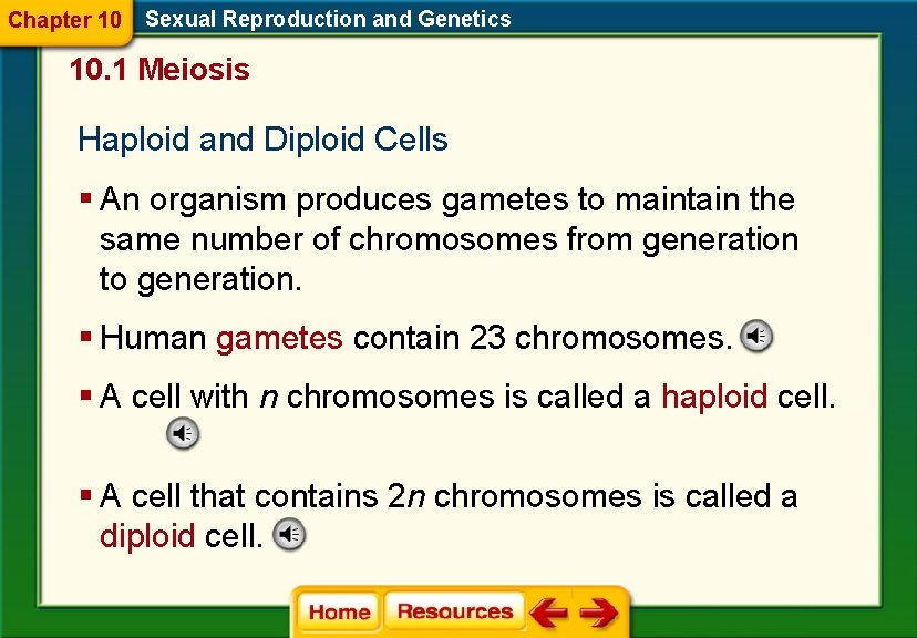 Chapter 10 Sexual Reproduction and Genetics 10. 1 Meiosis Haploid and Diploid Cells §