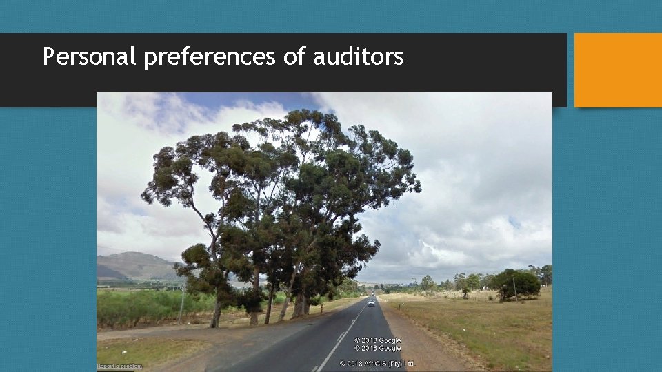 Personal preferences of auditors Trees next to road 