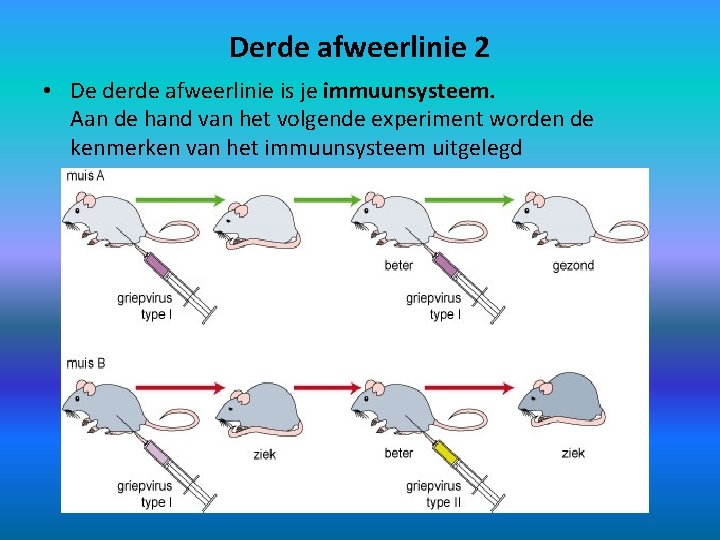 Derde afweerlinie 2 • De derde afweerlinie is je immuunsysteem. Aan de hand van