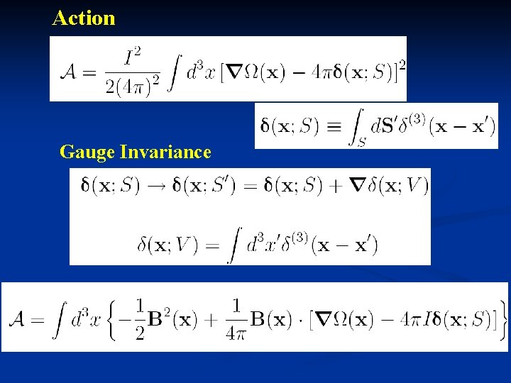 Action Gauge Invariance 