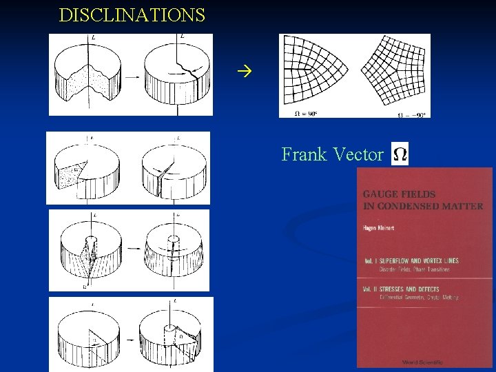 DISCLINATIONS Frank Vector 