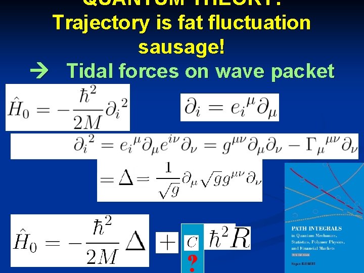 QUANTUM THEORY: Trajectory is fat fluctuation sausage! Tidal forces on wave packet ? 