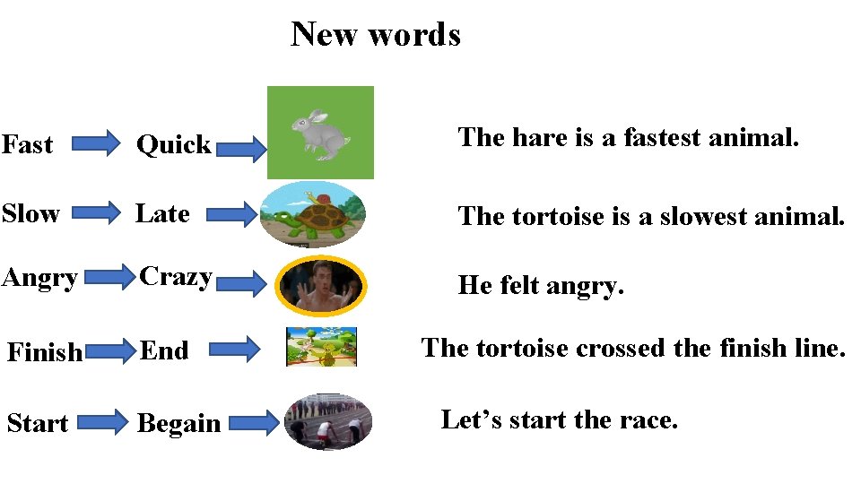 New words Fast Quick The hare is a fastest animal. Slow Late The tortoise