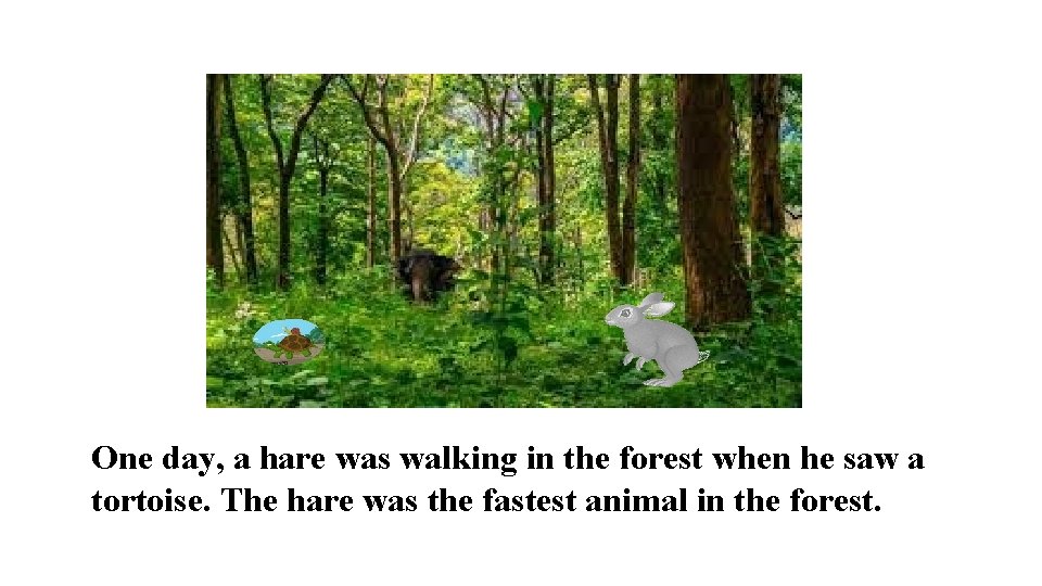 One day, a hare was walking in the forest when he saw a tortoise.