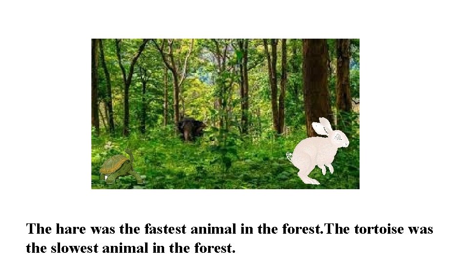 The hare was the fastest animal in the forest. The tortoise was the slowest